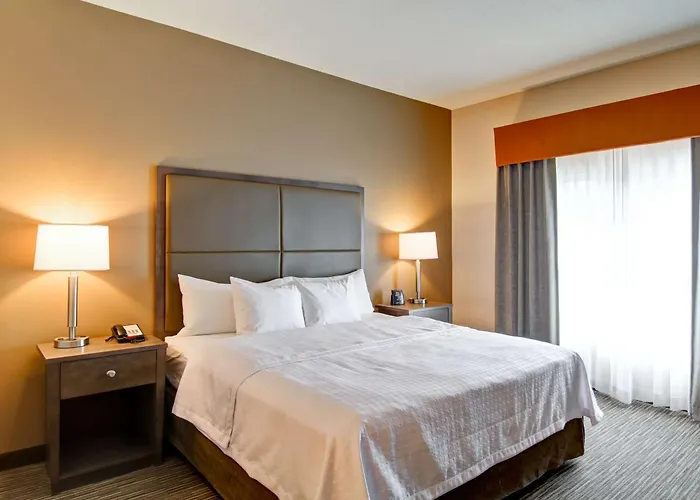 One-Bedroom Suite