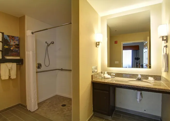 One-Bedroom King Suite